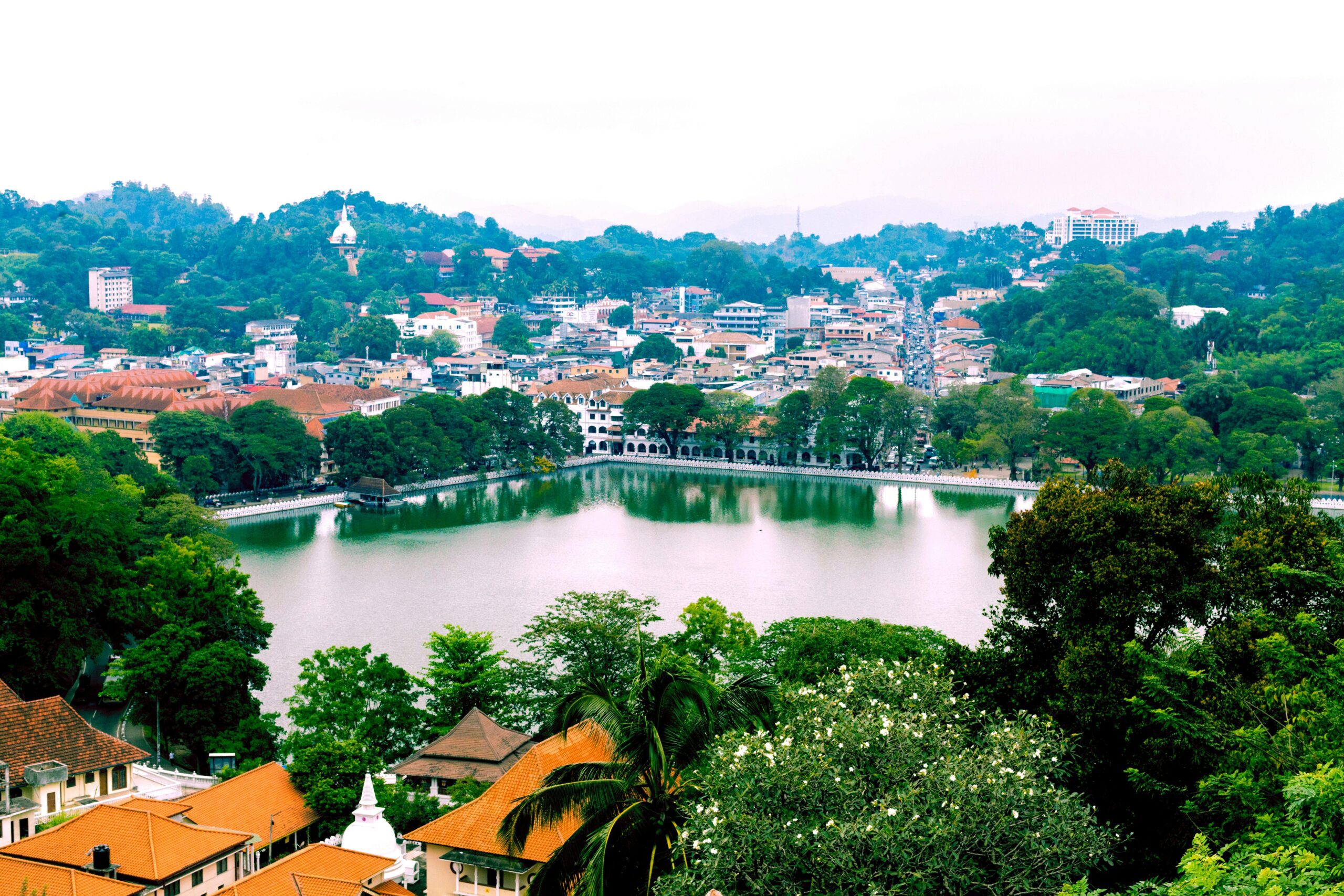 Aerial View of the City